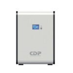 UPS CDP R-SMART 2010