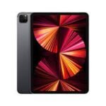iPad Pro de 11 pulgadas y 256 GB con WiFFi + Cellular - Gris espacial